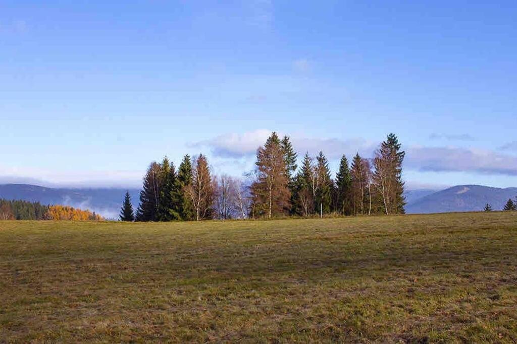 Korenov 10 Chalupa Na Horach Экстерьер фото
